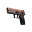 StatTrak™ P250 | Роспись